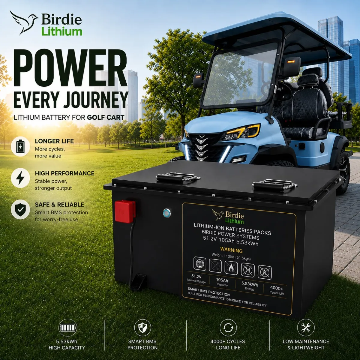 BIRDIE LITHIUM BATERY FOR GOLF CART